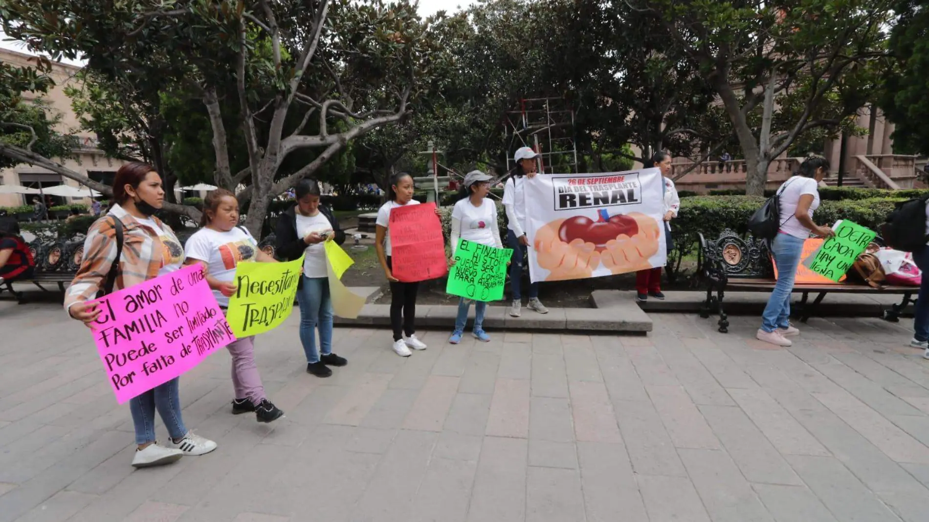 falta de trasplantes en el H. Central (2)